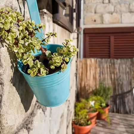 And Merica בית הארחה